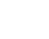 fsp